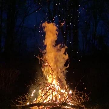 4K Campfire by the lake