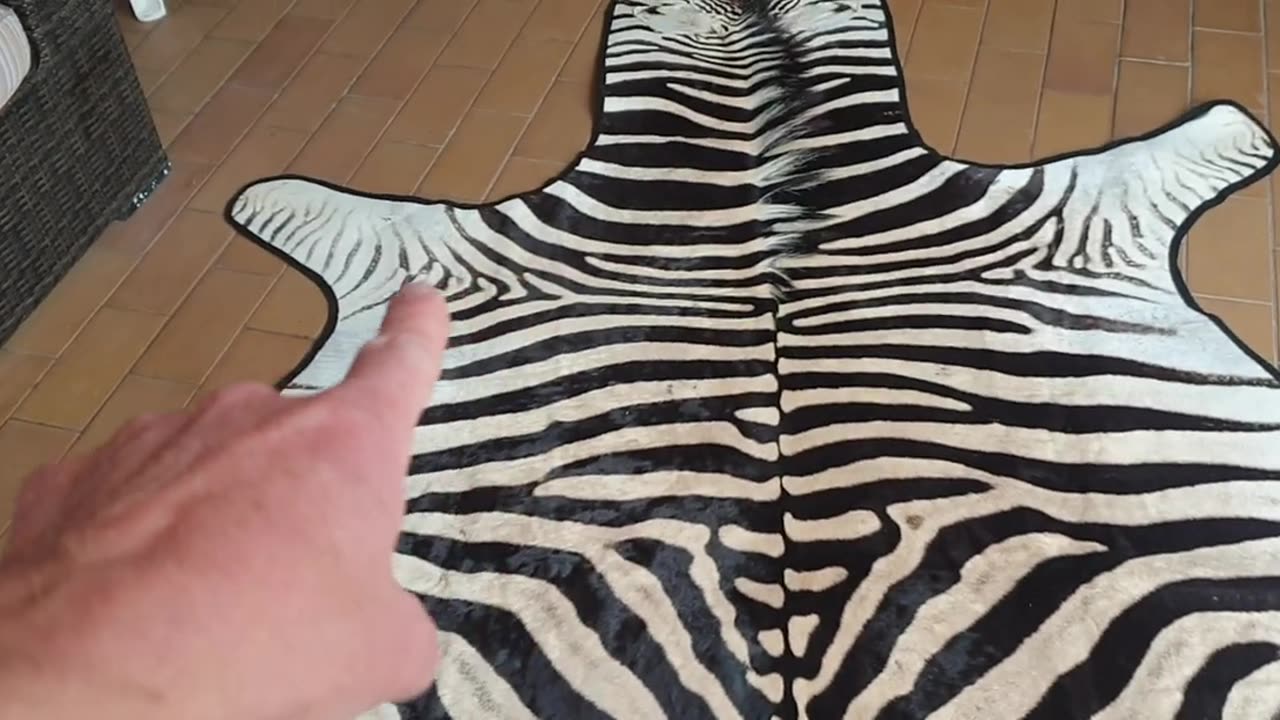 Zebra skin Felted rug for client