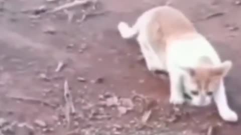 Funny video😂
