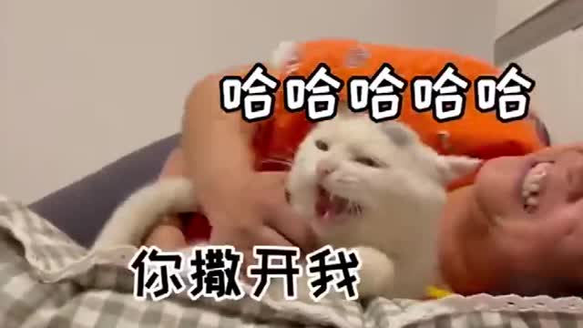 Cat & Dog Soo Cute ♥ Moment Funny Animal Videos 2021