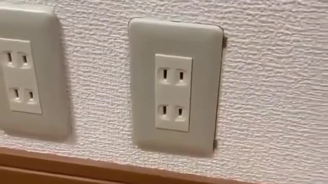 wow best life hack
