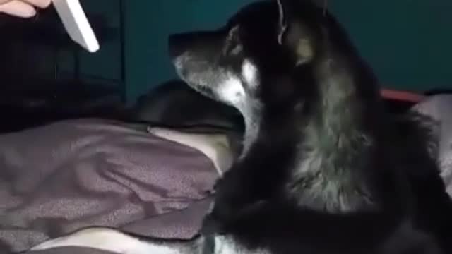 I'm going to have company.