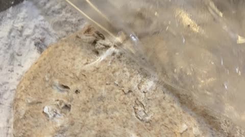 Learning to make less food