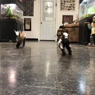 another one bites the dust