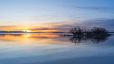 Soothing Shades of Sunlight: A Tranquil Moment by way of the 🌊 🌊