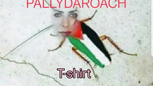 Pallydaroach T-shirts available