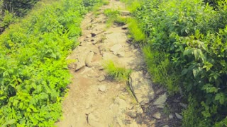 Waterrock Knob Hiking Trail