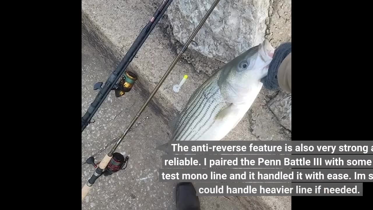 Honest Comments: PENN Battle III Spinning Fishing Reel