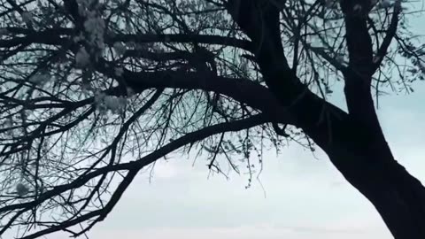 🌑 Navigating Life's Toughest Moments: A Story of Resilience & Reflection | HINESight Insights 🌅