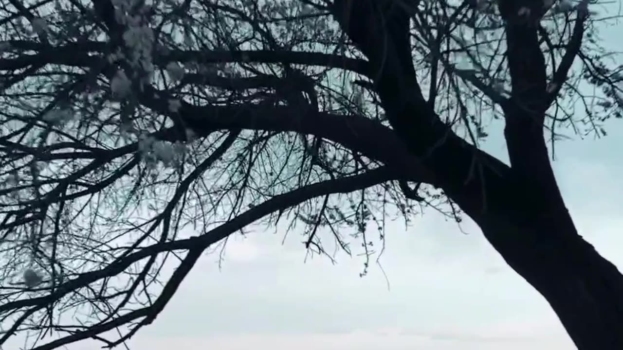 🌑 Navigating Life's Toughest Moments: A Story of Resilience & Reflection | HINESight Insights 🌅