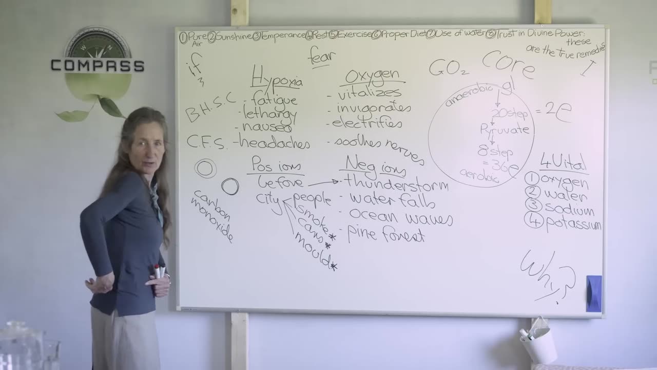 Barbara O'Neil - Part 14 - True Remedies - Pure Air