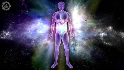 Digestive Health (stop the bloating)