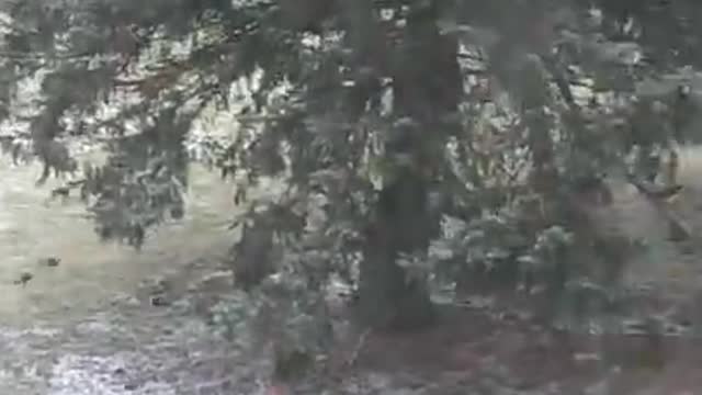 Birds gathering and flying away