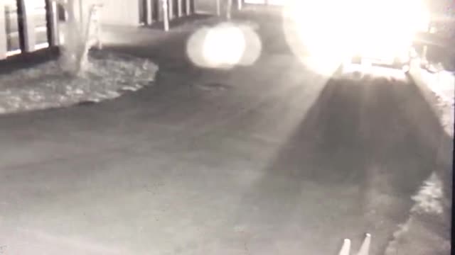 Sunday May 02, 2021 - #38