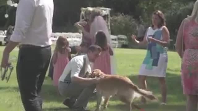 Funny and cobourg wedding