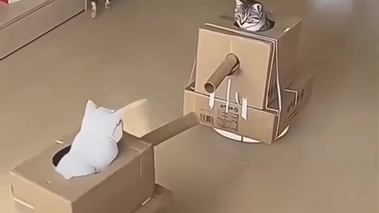 Kittens playing tanks