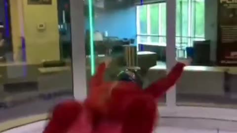 trampoline