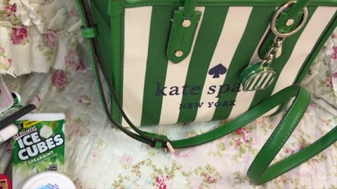 What's in my Kate Spade Small Stripe Tote in Green.