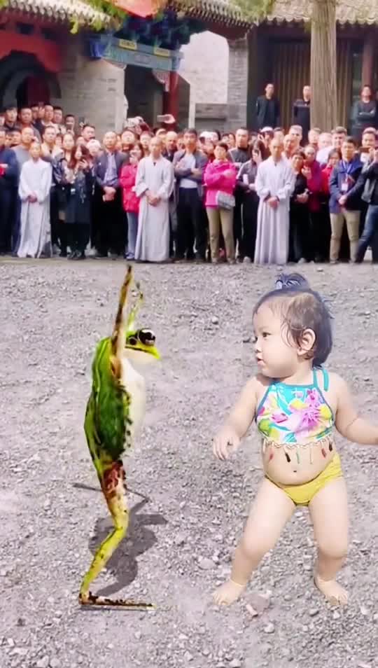 BIG FROG AND BABY DANCING FLOOR