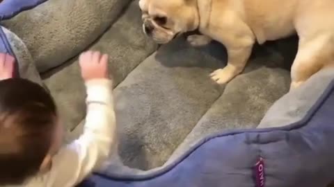 Touch the puppy's ass, it seems pissed