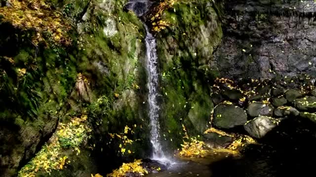 Relaxing Waterfall & Nature Sounds (Sleep, ASMR, Meditation, Yoga)