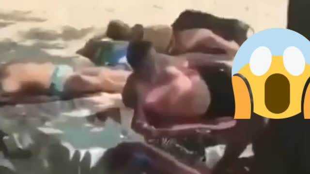 Porquinho foi a praia