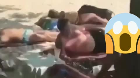 Porquinho foi a praia