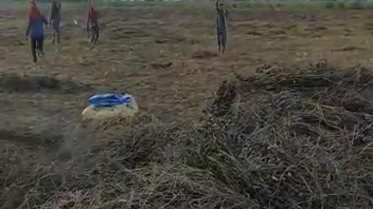 NVT THRESHER IN FIELD