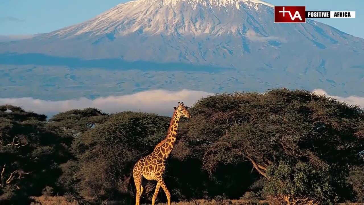 10 Best Places to Experience The Real Africa | Best Places to Visit in Africa 2021