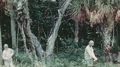 DDT 1944 US Navy