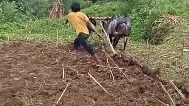 Funny Farmer 🤣🤣