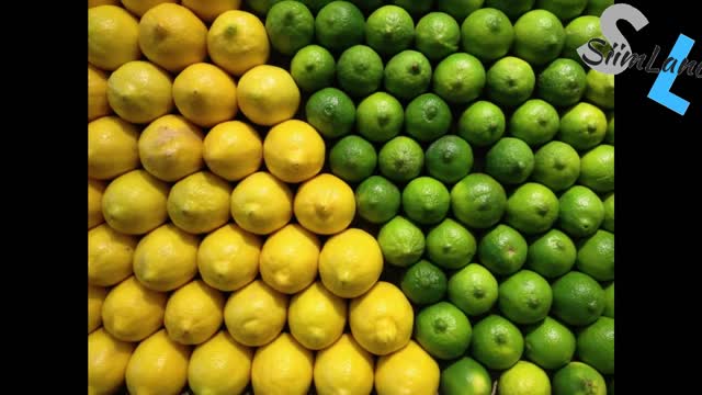 Foods You Should Avoid On Ketogenic Diet