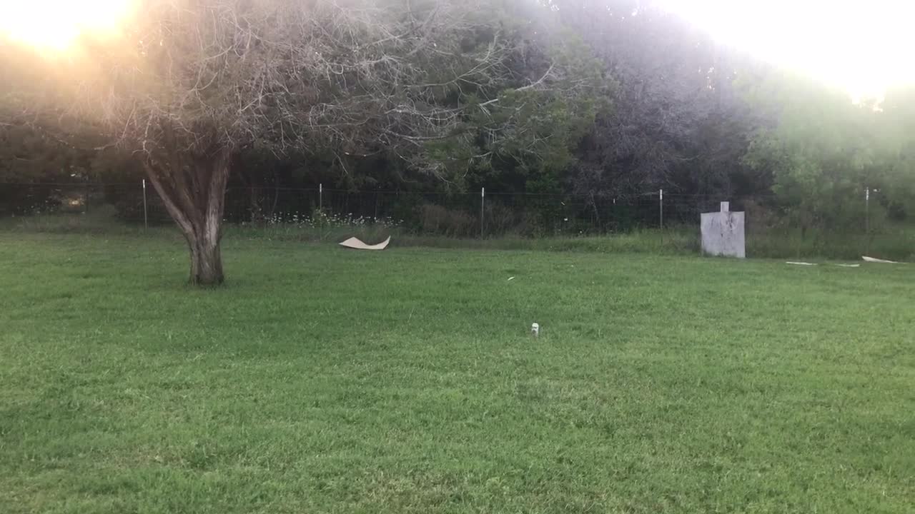 Grace Kat's First Shotgun Lesson