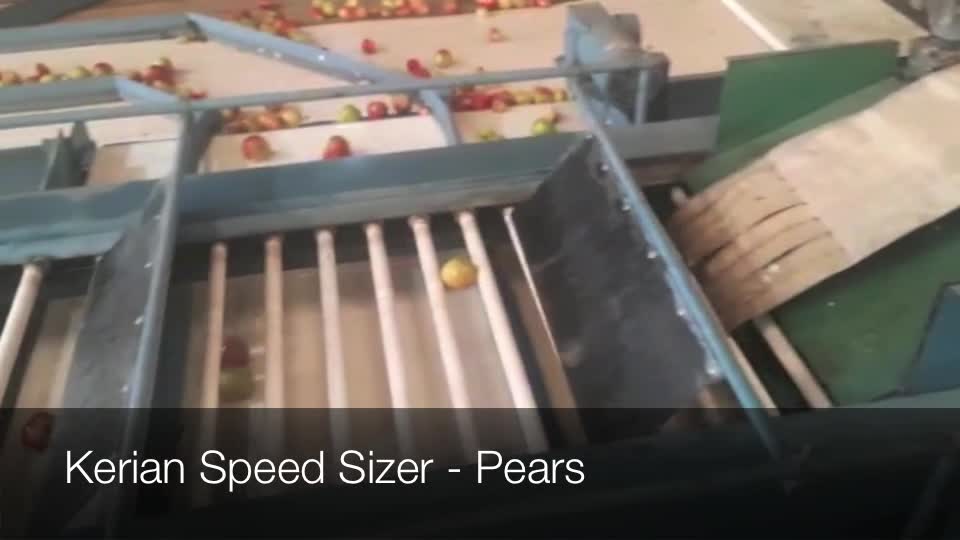 Kerian Speed Sizer for Pears