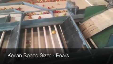 Kerian Speed Sizer for Pears