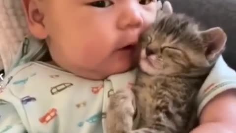 A small clip of a baby with a cat