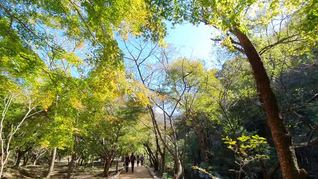 Hiking Naejangsan Mountain in Korea