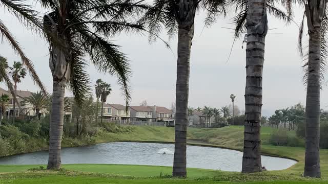 Skycrane Soaks up Water From Golf Course Lake