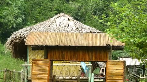 Simple Girl Life In Village