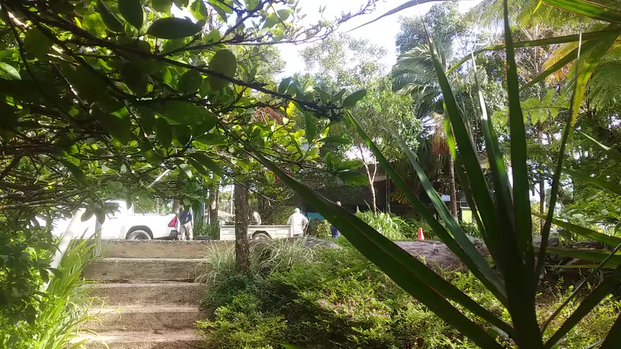 12.9.2024 Mulching