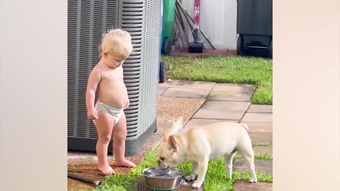 Best video of Cute Babies and Pets - Funny Baby and Pet