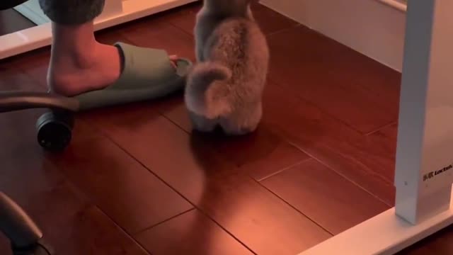 I broke down when I saw this video