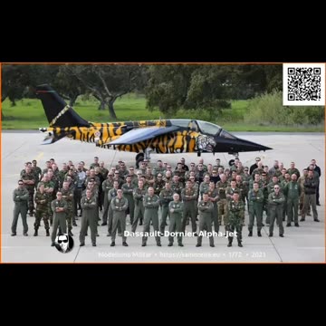 AlphaJet squadron 301 Jaguares ~ Tigermeet