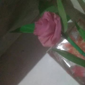 Democrats The 11th Hour with Brian Williams Assistant Attorney General