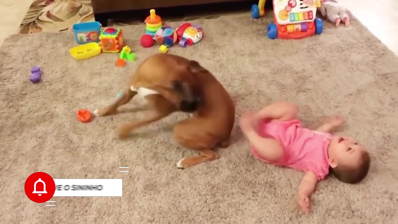 cute and cute babies playing with the little dog. 03