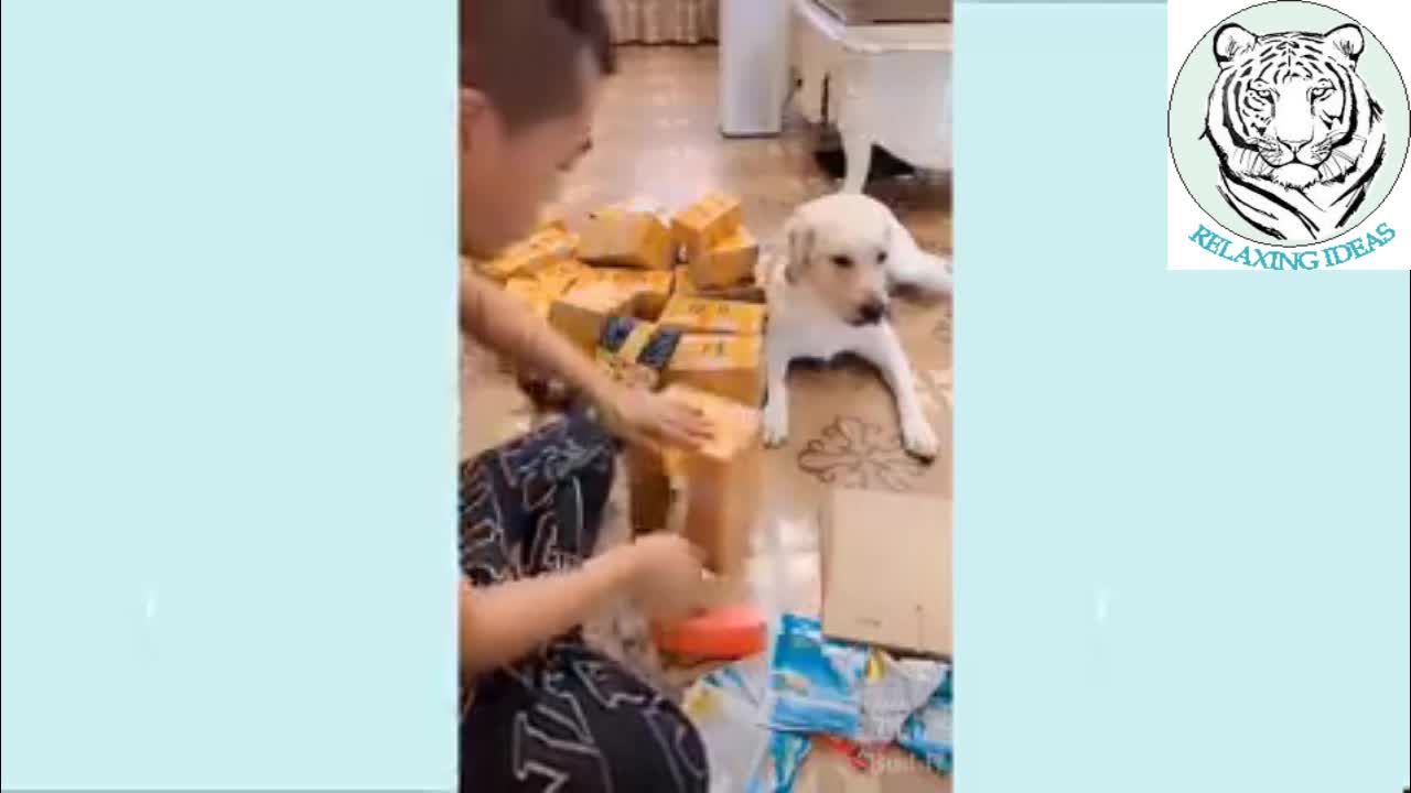 Smart dog improvising to help owner WOW!