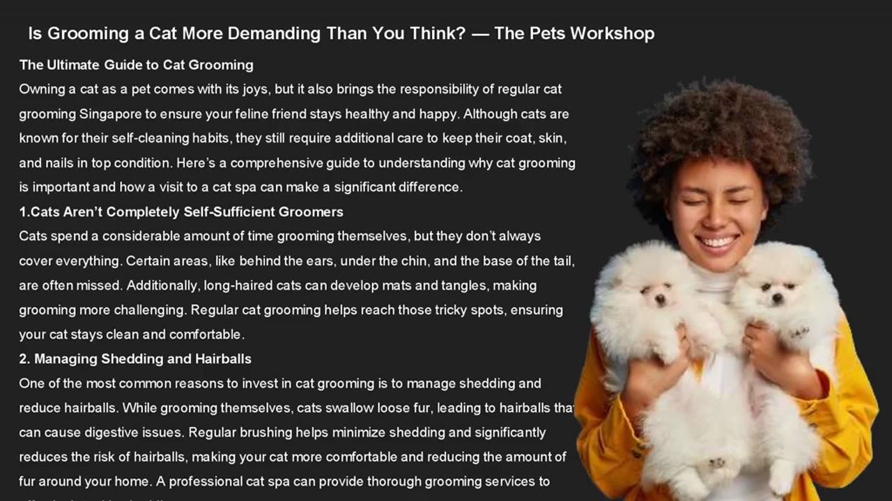 Is Grooming a Cat More Demanding Than You Think? — The Pets Workshop