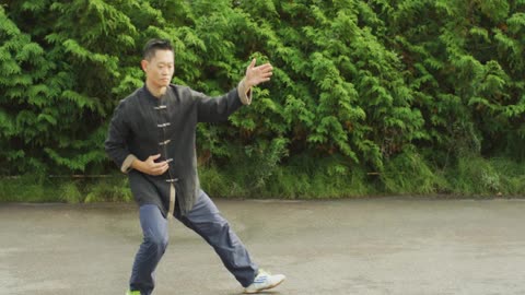 Wu Taijiquan 45