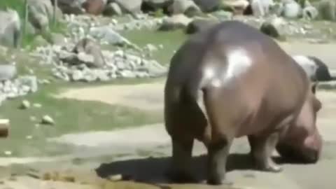 This will make your day