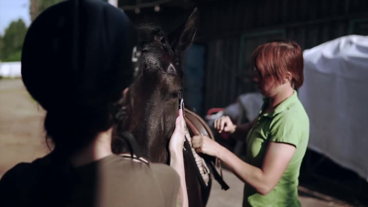 Woman preparing a horse in the stall